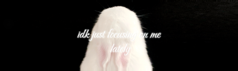 Featured image of post 关于 | About