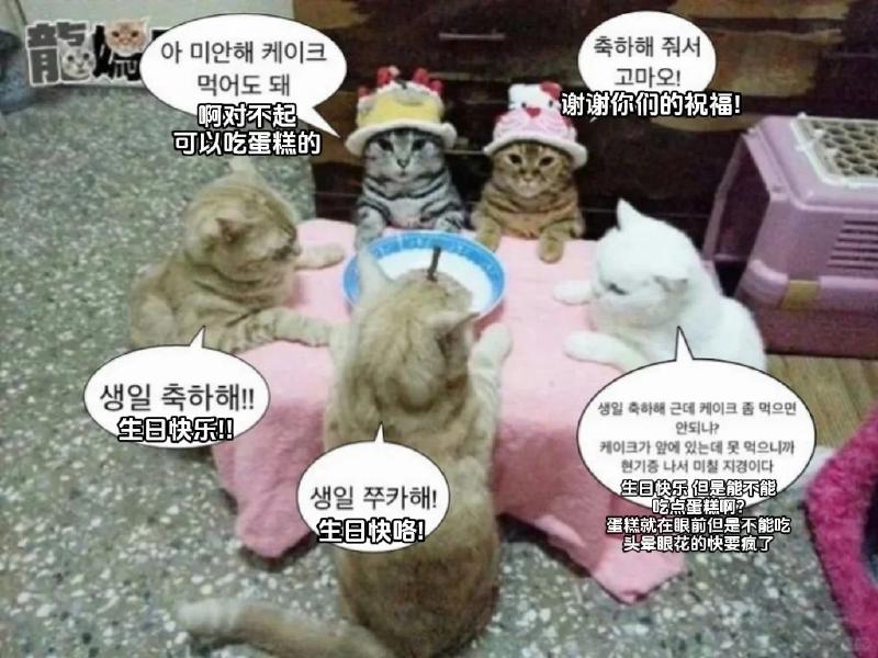 Featured image of post 第一篇博文：写在新的一岁之前